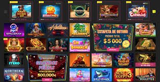 9d bet casino