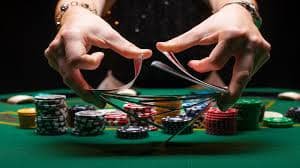 9d bet casino